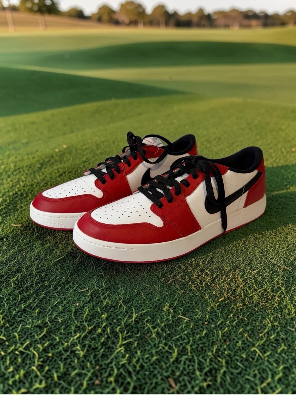 Air Jordan 1 low Chicago golf shoes size 12